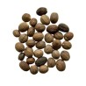 Noix de Muscade ENTIERE 100 g Nux moschata