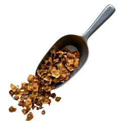 Paliure fruit ENTIER 100 GRS Paliurus aculeatus