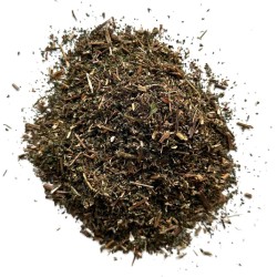 Tisane Pariétaire plante 1 KILO Parietaria officinalis.