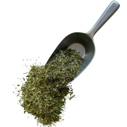 Tisane Pervenche petite 1 KILO officinale feuille Vinca minor.
