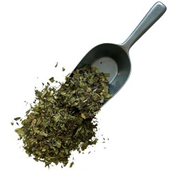 Plantain feuille 250 GRS France extra Plantago lanceolata.