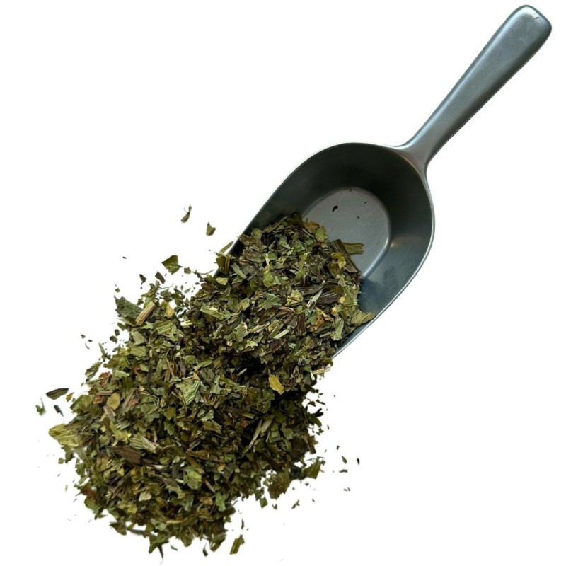 Plantain feuille 250 GRS France extra Plantago lanceolata.