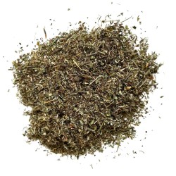 Piloselle plante 1 KILO Hieracium pilosella.