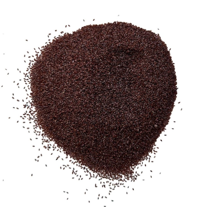 Psyllium Noir semence 1 KILO Plantago psyllium