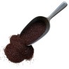 Psyllium Noir semence 1 KILO Plantago psyllium