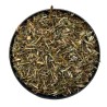 Renouée des oiseaux plante 250 GRS Polygonum aviculare