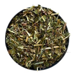 Seifenkraut Pflanze 100 GRS Saponaria officinalis
