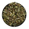 Seifenkraut Pflanze 100 GRS Saponaria officinalis