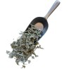 Echter Salbei Blatt extra 100 GRS Salvia officinalis