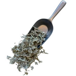 Tisane Sauge officinale feuille extra 250 GRS Salvia officinalis