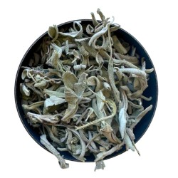 Tisane Sauge officinale feuille extra 250 GRS Salvia officinalis