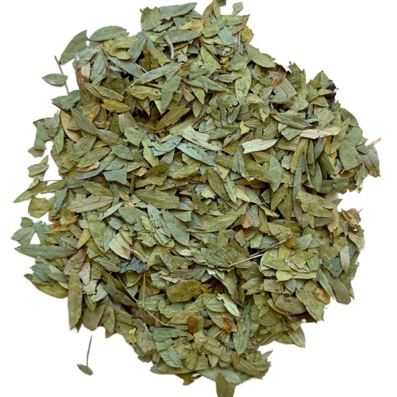 Séné feuille 1 KILO Cassia angustifolia.