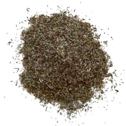 Nerpel Pflanze 100 GRS Thymus serpyllum.