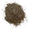 Nerpel Pflanze 100 GRS Thymus serpyllum.