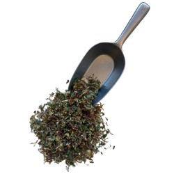 Trèfle rouge (trifolium pratense) - 250 g