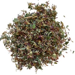 Rotklee (trifolium pratense) - 250 g