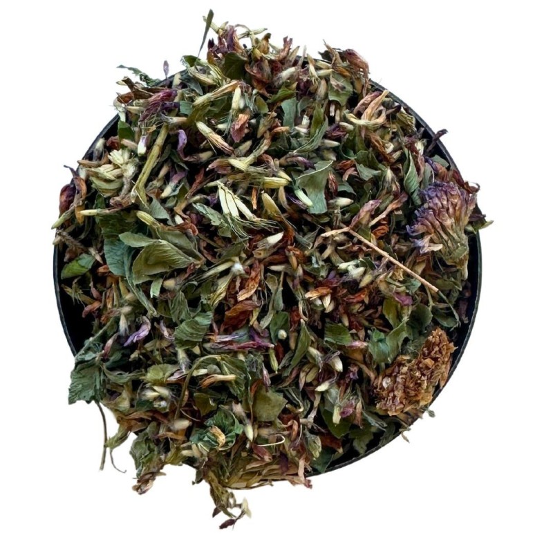 Trèfle rouge (trifolium pratense) - 250 g