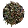 Trèfle rouge (trifolium pratense) - 250 g