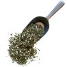 Verge d'or (Solidage) plante 100 GRS Solidago virga aurea
