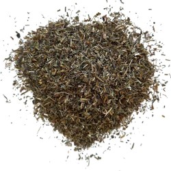 Véronique plante CT 100 g Veronica officinalis