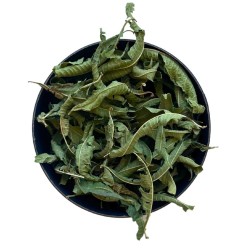Duftverbene SURCHOIX Ganzes Blatt 50 GRS.