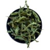 Duftverbene SURCHOIX Ganzes Blatt 50 GRS.