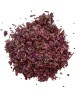 Rote Weinrebe Blatt (Frankreich) 100 GRS Vitis vinifera.