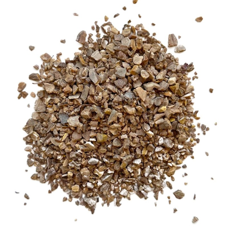 Zédoaire racine 100 GRS Curcuma Zédoaria.