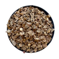 Zédoaire racine 100 GRS Curcuma Zédoaria.