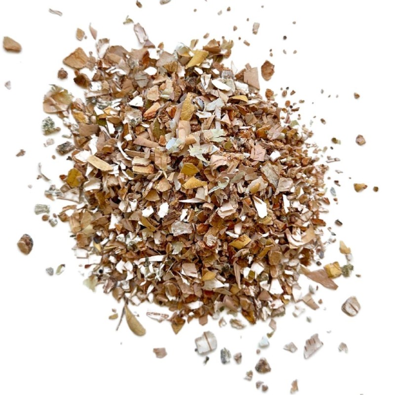 Tisane Bouleau écorce 100 GRS Betula alba.