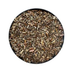 Salicaria Pflanze 250 GRS Lithrum salicaria.