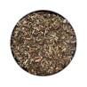 Salicaria Pflanze 250 GRS Lithrum salicaria.