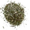 Goldrute (Solidago) Pflanze 100 GRS Solidago virga aurea