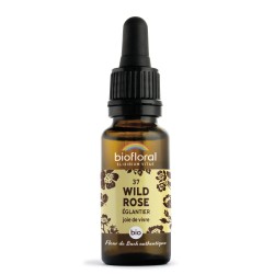 BACH-BLÜTEN Nr. 37 Wilde Rose, Hagebutte