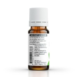 Ätherisches Öl PFEFFERMINZE BIO AB - 10ml