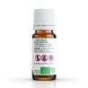 Ätherisches Öl PFEFFERMINZE BIO AB - 10ml