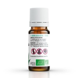 Ätherisches Öl EUCALYPTUS RADIATA BIO AB - 10ml