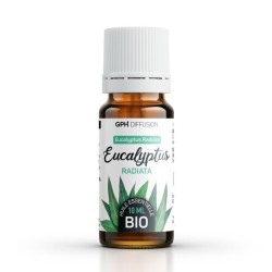 Ätherisches Öl EUCALYPTUS RADIATA BIO AB - 10ml