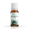 Ätherisches Öl EUCALYPTUS RADIATA BIO AB - 10ml