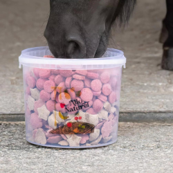 Bonbons pour chevaux - Seau de 1 litre / 500 grammes