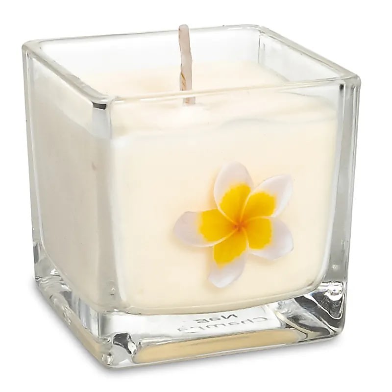 Bougie à la cire écologique de Colza - parfum Nag Champa Bougie à la cire écologique de Colza - parfum Nag Champa
