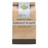 Tisane Serpolet plante 100 GRS - France Herboristerie
