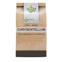 Tisane Chrysantellum americanum plante 100 GRS - France Herboristerie