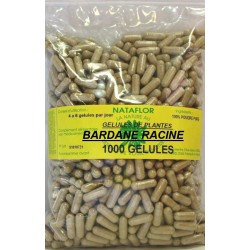 BARDANE racine 100 gélules dosées à 250 mg - Pot de 100 gélules - France Herboristerie