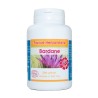 BARDANE racine 100 gélules dosées à 250 mg - Pot de 100 gélules - France Herboristerie