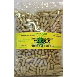 GELULES CASSIS feuille 120 gélules dosées à 270 mg - France Herboristerie