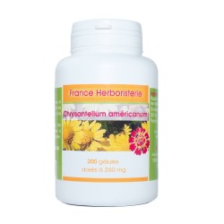 GELULES CHRYSANTELLUM Americanum 120 capsule 240 mg. - France Herboristerie