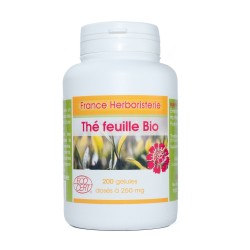 GELULES THE VERT feuille 120 gélules dosées à 280 mg - France Herboristerie
