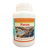 GELULES FUCUS vésiculeux (Varech) 120 gélules doséés à  400 mg. - France Herboristerie
