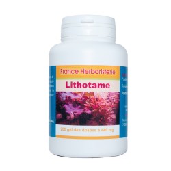 LITHOTAME GLULES 120 capsules 500 mg. - France Herboristerie